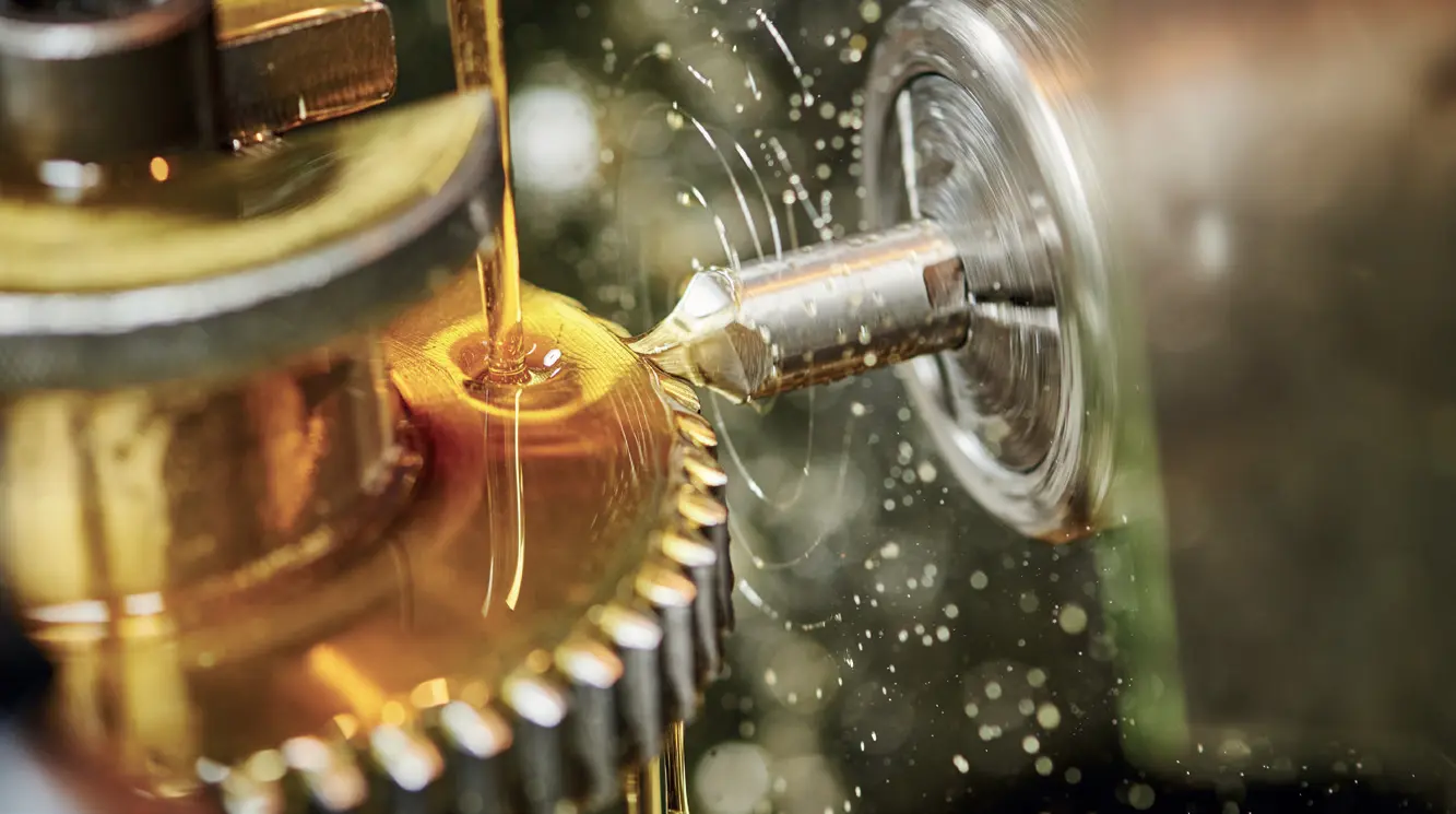 Ürün görseli: DİŞLİ YAĞLAR